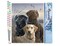 Figured'Art Paint by Numbers Kit for Adults Labrador Trio 16"x20" - Craft Art Painting DIY Kit Rolled Canvas without frame